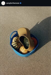Song For The Mute x Birkenstock