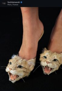 Schiaparelli Fall 2026 show at Paris fashion week