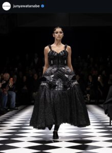 Junya Watanabe Fall 2026 show at Paris fashion week