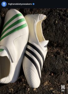 Adidas x Pharrell VIRGINIA Vario “Flat Earther”