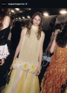 Dior Cruise 2027