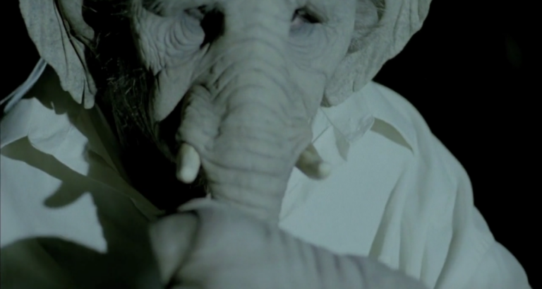Review: Elefante