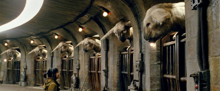 ‘Star Wars: The Last Jedi’ maintains number one spot as ‘Jumanji: Welcome to the Jungle’ enters second at the weekend Box Office