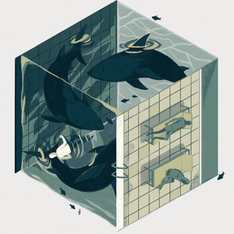 Cube illustrations by Reno Nogaj