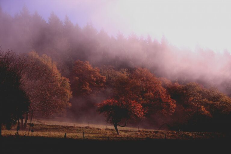 Sound Selection 041