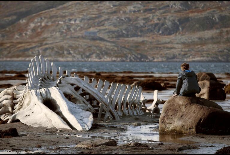 5 Andrey Zvyagintsev Films You Must Watch