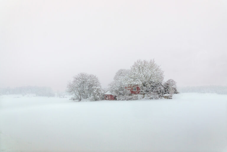 Only the Birds Know When it’s Spring by Lena Sanver