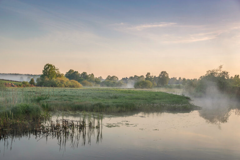 Morning Light Over the River by Lena Sanver