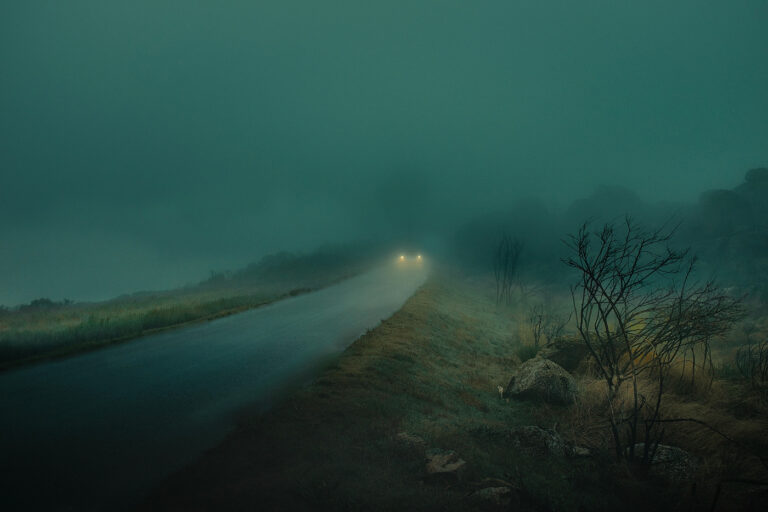They Drive by Night by Henri Prestes