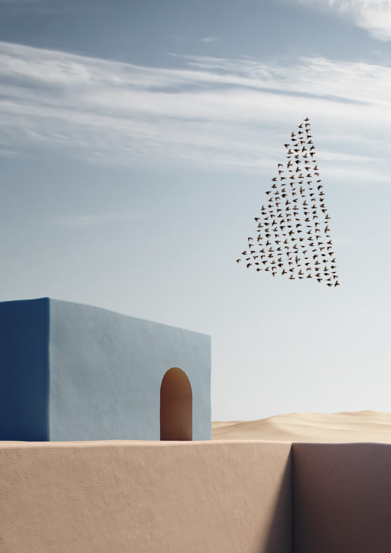 Migration by Massimo Colonna