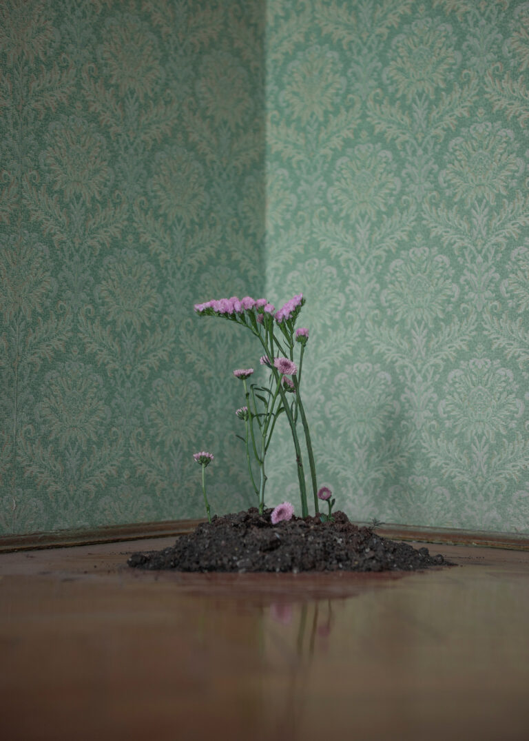 5 Photographers To Look Out For In 2020