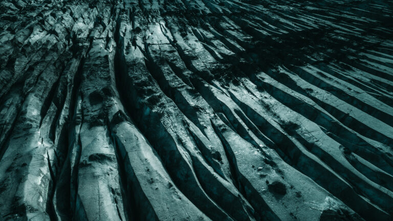 Art of Nature by Ben Simon Rehn