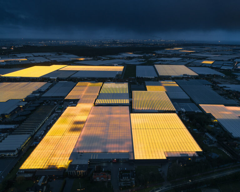 The Greenhouse Series by Tom Hegen