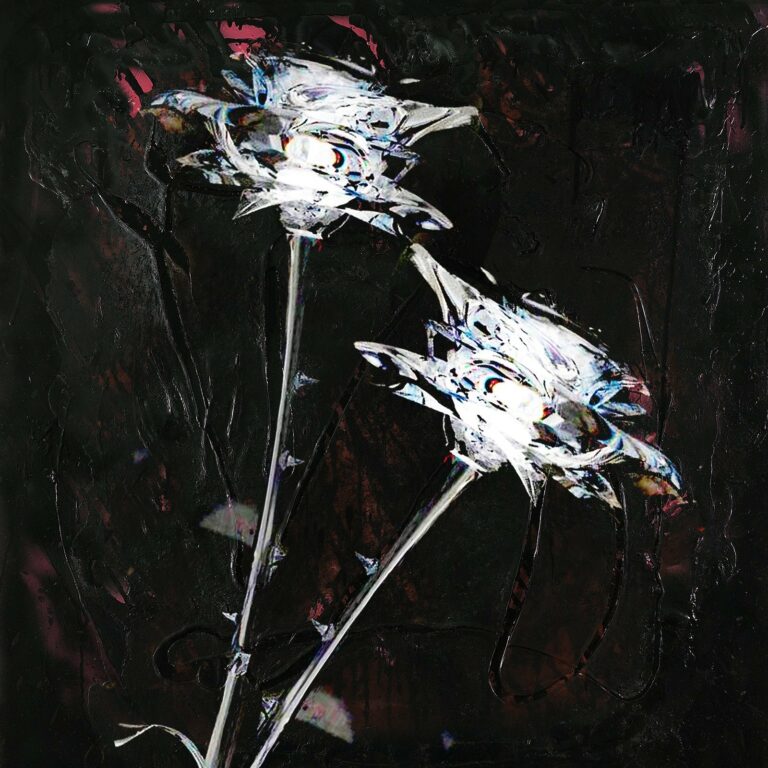 Shygirl and Arca Release New Song ‘unconditional’