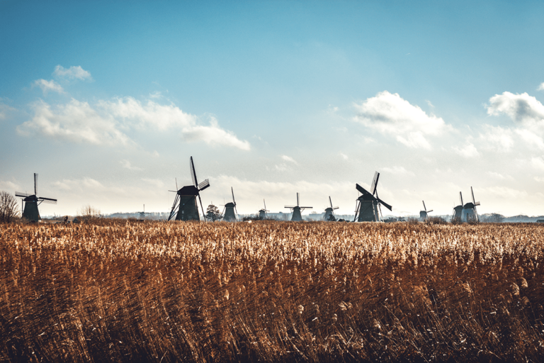 The Windmills of Kinderdijk by Eveline Iagofarova