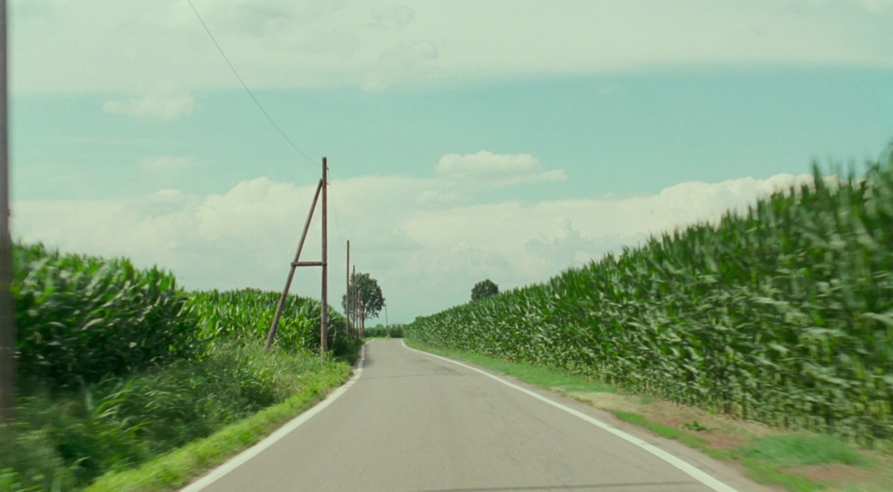 15 Beautiful Stills From Call Me By Your Name 17 Our Culture