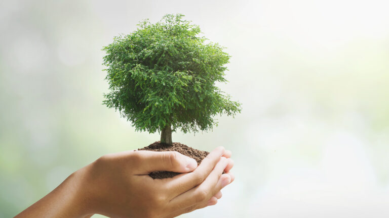 Sustainable Fashion: What is Greenwashing?