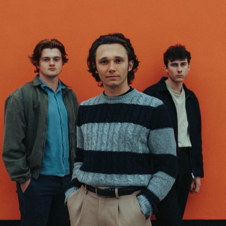 The Manatees Release ‘Have It All’