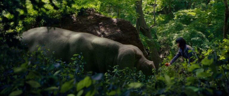 11 Poignant Stills from Okja (2017)