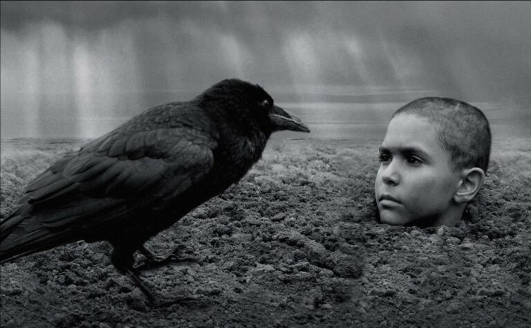 Films on MUBI in January, 2021