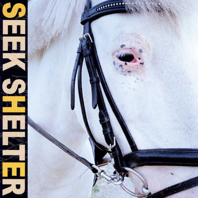 Album Review: Iceage, ‘Seek Shelter’