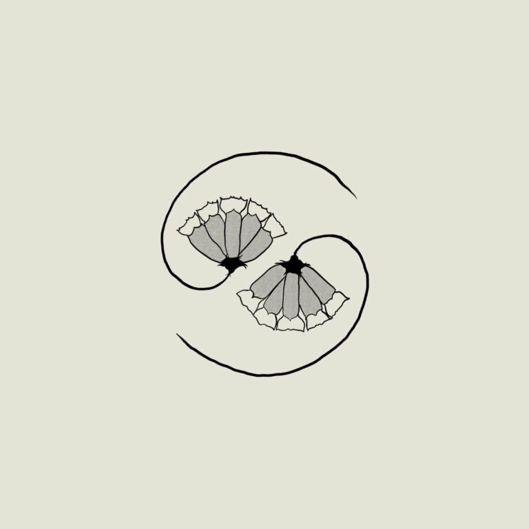 Album Review: Godspeed You! Black Emperor, ‘G_d’s Pee AT STATE’S END!’