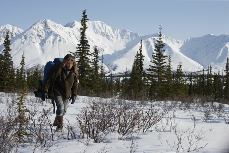 16 Best Quotes from Into the Wild (2007)