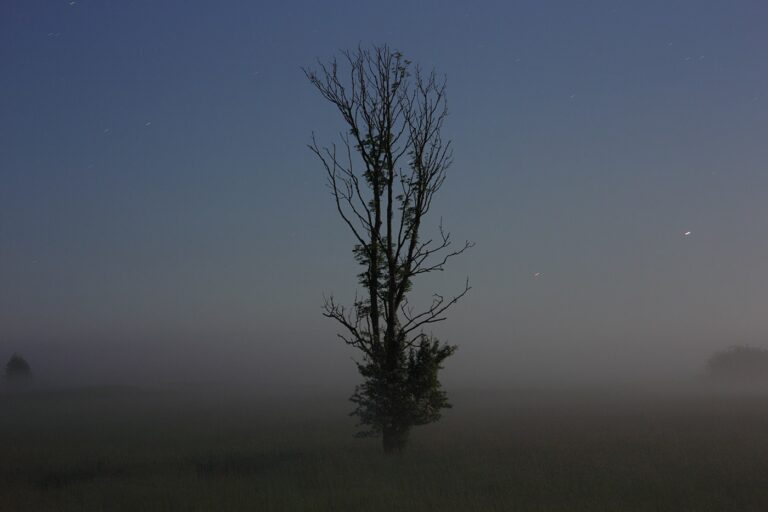 Why I Didn’t Sleep At All Last Night by Mindaugas Buivydas