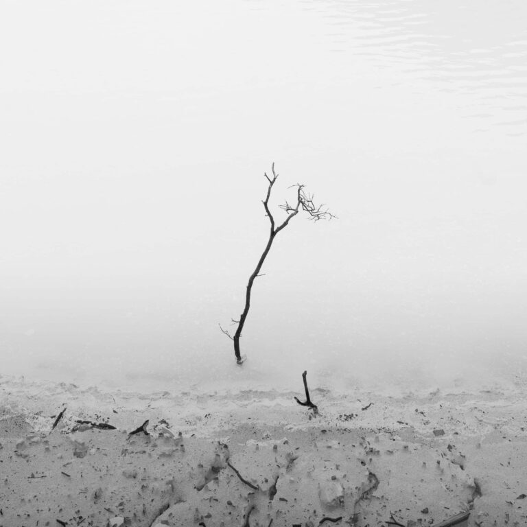 Art of White Crater by Daniel Tjongari