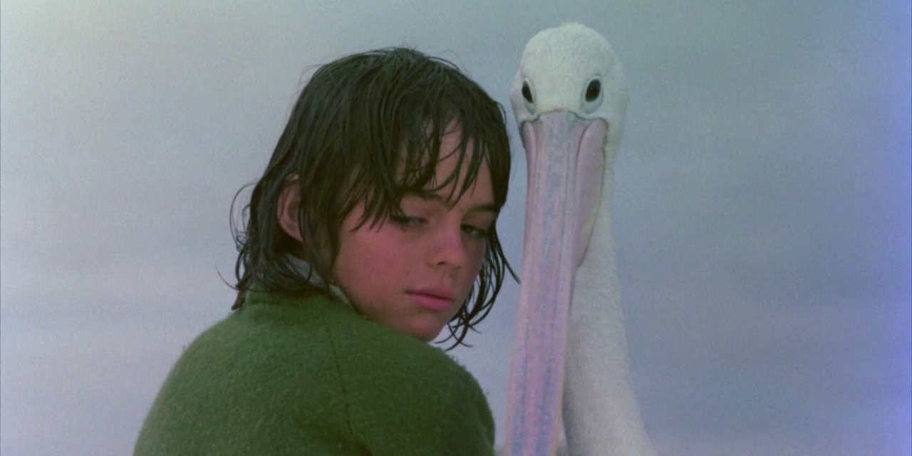 1976 movie storm boy