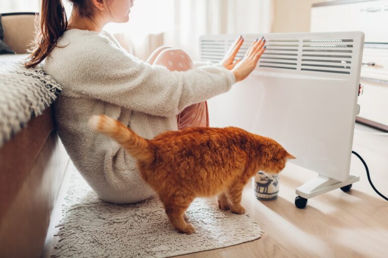 Tips for Preparing Your Home for Winter