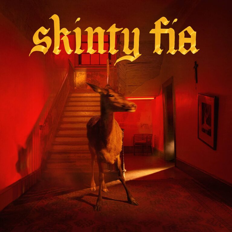 Album Review: Fontaines D.C., ‘Skinty Fia’