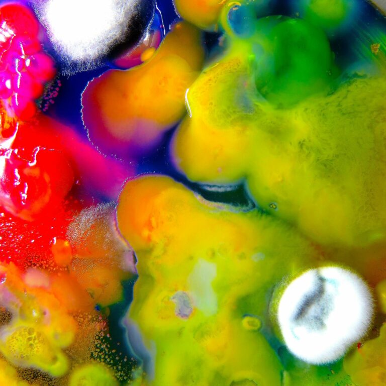 Album Review: Guerilla Toss, ‘Famously Alive’
