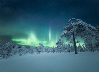 snow covered ground under starry night
