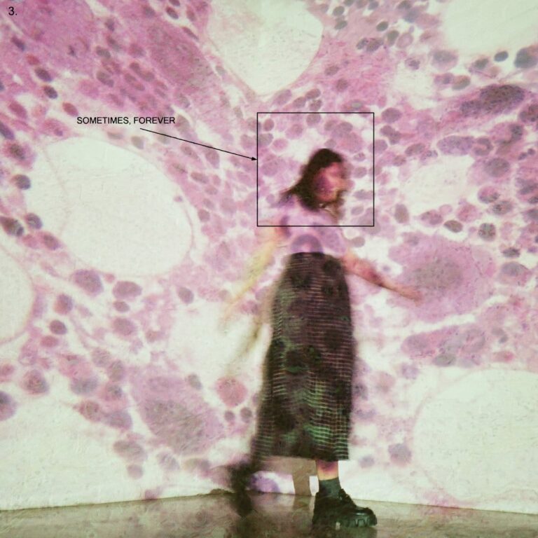 Albums Out Today: Soccer Mommy, MUNA, Zola Jesus, Regina Spektor, and More