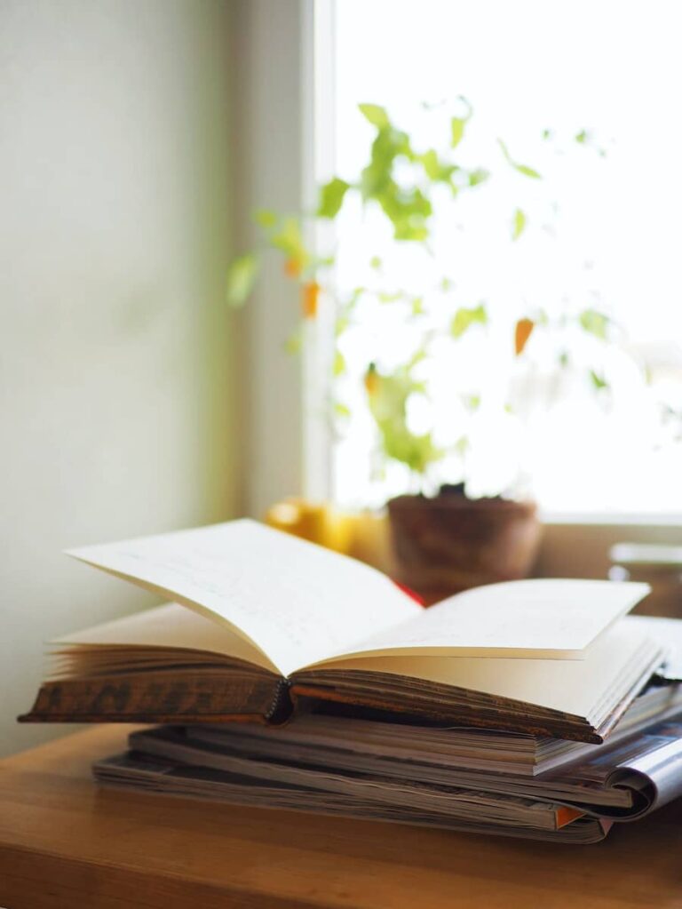 10 New Summer Books to Add to Your 2022 Reading List