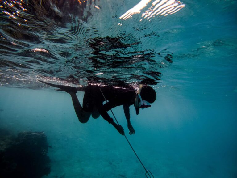 Spearfishing Tips: 5 Tricks and Tips to Hooking More Fish in 2022 & Beyond