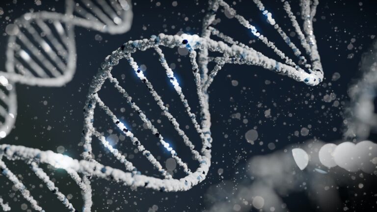 NJ Diet Reviews: Are DNA Based Diets Effective?