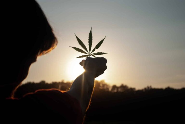 The Top 5 Cannabis-inspired Artists Whose Works Will Take You Higher