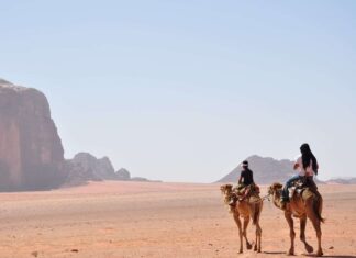 man and woman riding on horse during daytime
