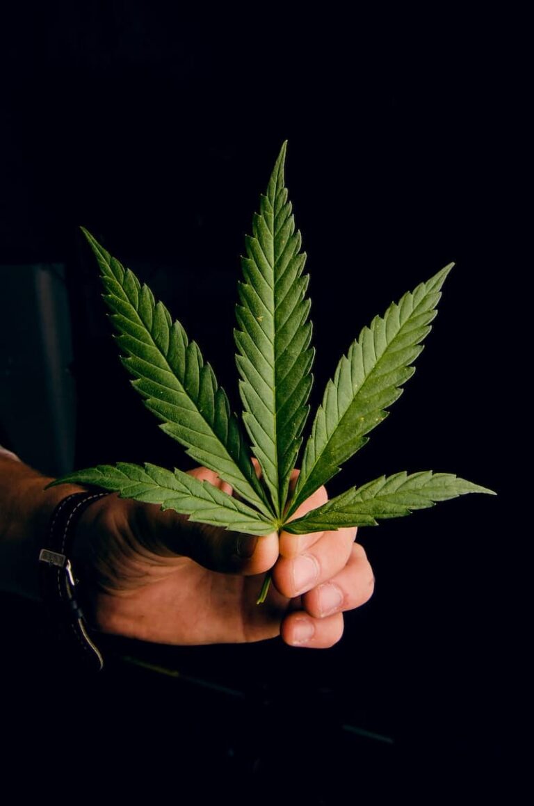 9 Weed-Inspired Artists Whose Artworks You Should Check