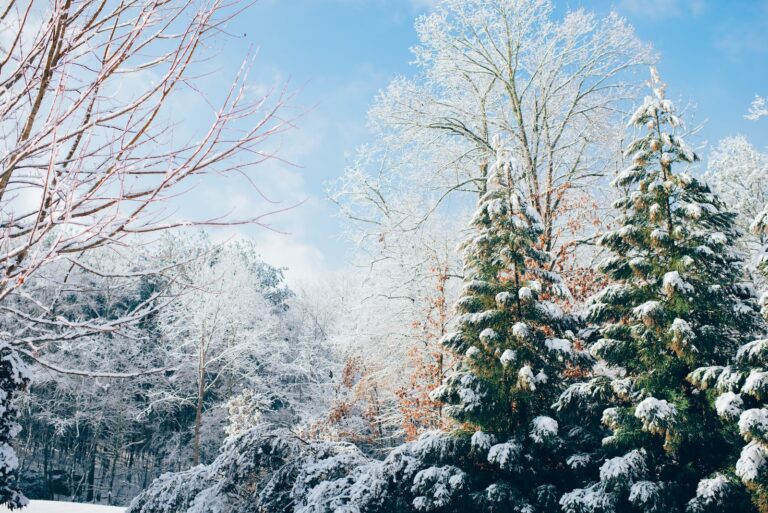 Tips and Tricks to Enjoy This Winter