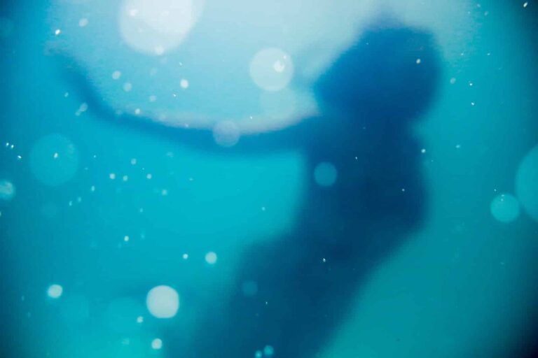 5 Mesmerizing Mermaid Paintings That Will Leave You Breathless