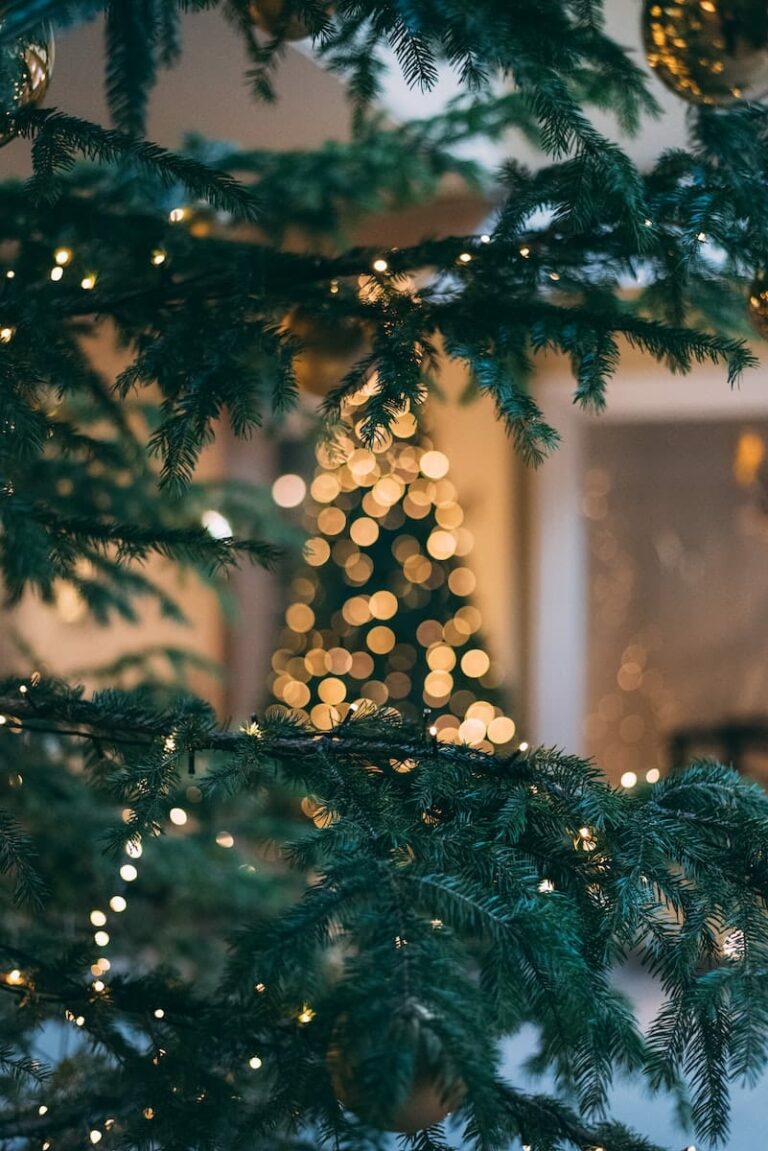 Celebrating Christmas With Family: Top Tips & Tricks For A Fun Festive Season