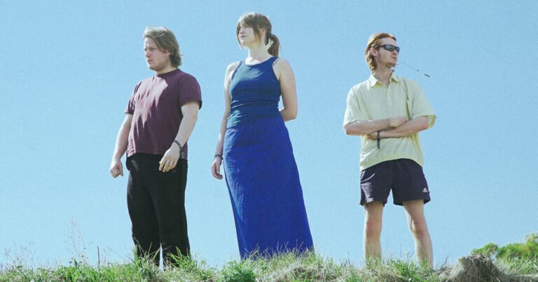 PVA Cover Big Thief’s ‘Not’