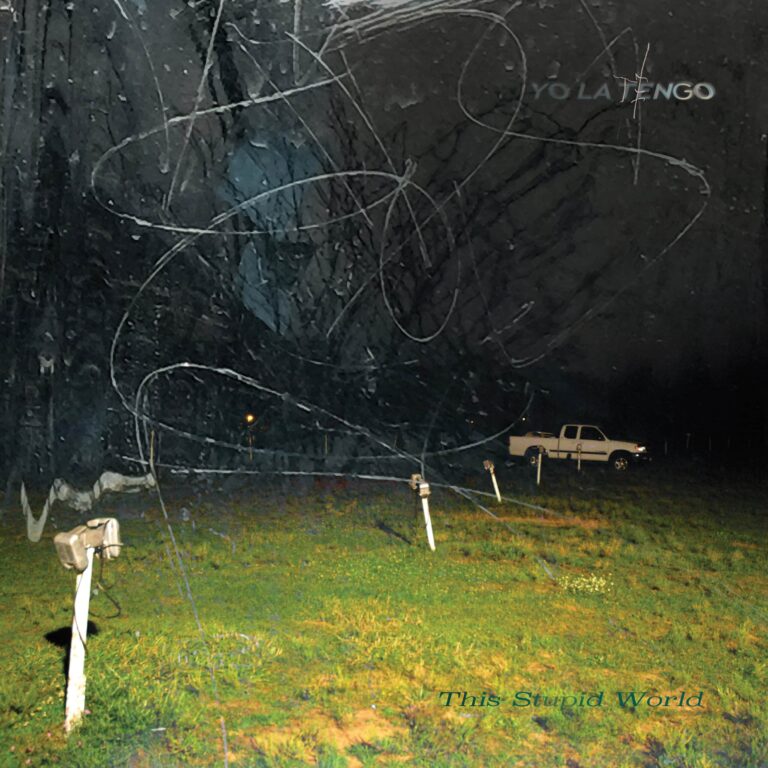 Album Review: Yo La Tengo, ‘This Stupid World’