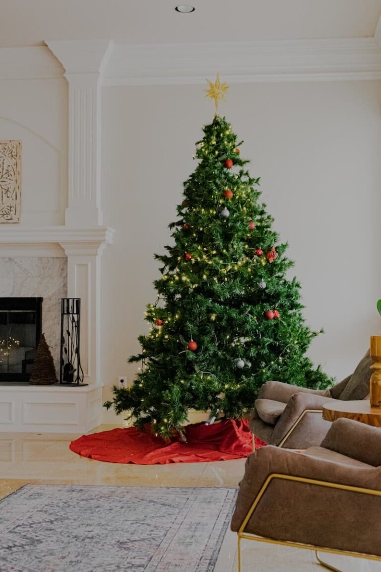 Freshen Up Your Home for Entertaining Guests at Christmas
