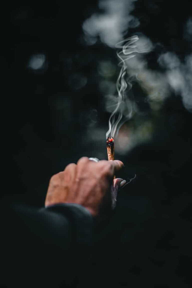 29 Quotes for Everyday Stoners