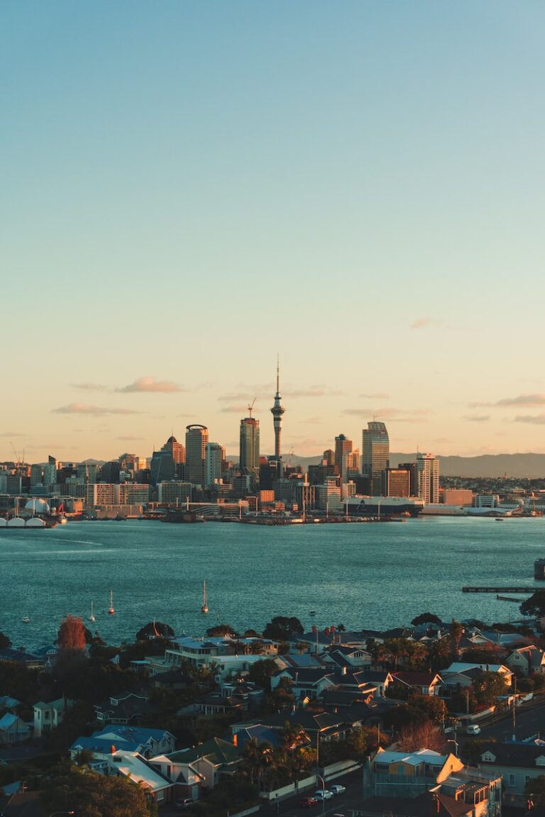 Top Rated Online Casinos in New Zealand