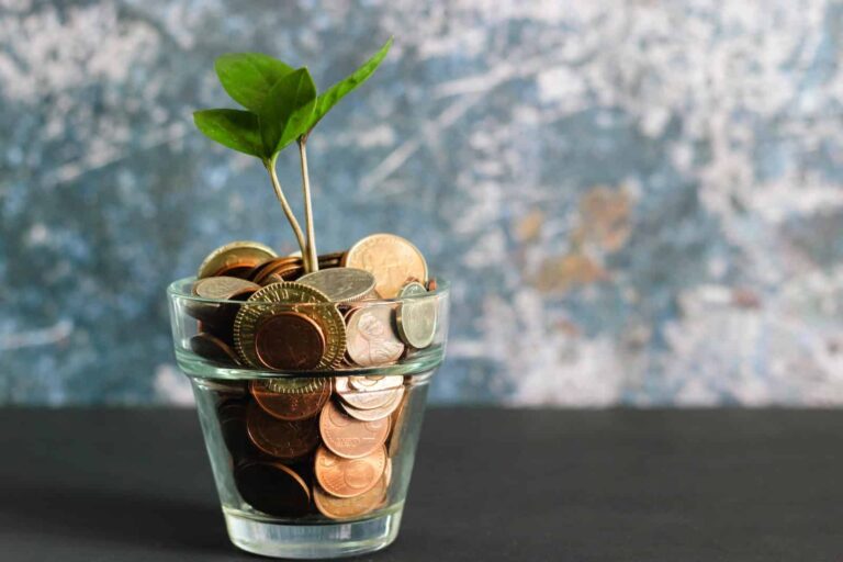 ecoPayz – Get to know this New Banking Method in Canada